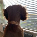 Nellie Harris - @nellie_sprocker - Instagram
