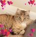Nellie Hedrick - Facebook