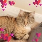 Nellie Hedrick - @grammawof2 - Instagram