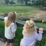 Ellie Holder - @ellie_c_holder - Instagram