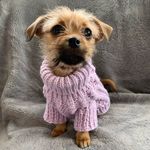 Nellie Peaches Ingram-Hunter - @nelliethechiapso - Instagram