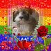 Nellie Jansen - Facebook