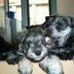 Nellie Knox - Facebook