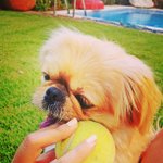 Nellie Knox - @daymastra - Instagram