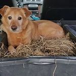 Nellie Lambrechts - @lambrechtsnellie - Instagram