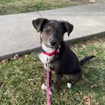 Nellie Bear - @nellie_larabee - Instagram
