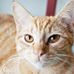 Nellie Levine - Facebook