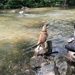Nellie Logan - @thapaencaborq - Instagram