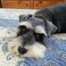 Nellie McCoy - Facebook