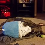 Nellie Morse - @theadventuresof_nellie - Instagram