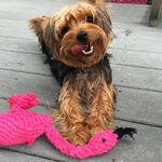 Oliver & Nellie - @oliver_nellie - Instagram