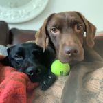 @oliver_nellie_claude - Instagram