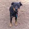 Nellie bug - @nelliespage - TikTok