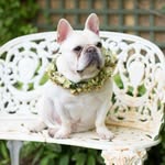 Nellie George Sale Page - @nelliegeorgesale - Instagram