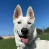 Nellie Parrish - @nelparrish - TikTok