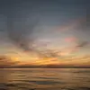 Nellie - @nellie_roy - TikTok