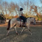 Nellie Schmidt - Facebook
