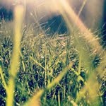Nellie Schultz - @idayzeln - Instagram