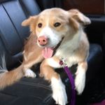 Nellie Small - @nellie.small - Instagram