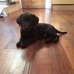 Nellie - @smallbutmightynellie - Instagram