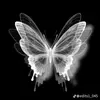 nellie.loves.spencer - @nellie.loves.spencer - TikTok