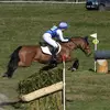 Nelly Stephens Eventing - @nelly.stephens.ev - TikTok