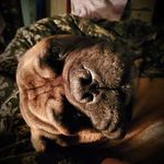 Nellie Turner - @mamma_bear_o_4 - Instagram