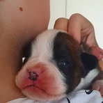 Nellie-jean Ward - Facebook