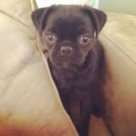 Nellie Ward - @nelliethejug - Instagram