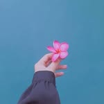 Nellie Webster - @956zbnpv1z - Instagram