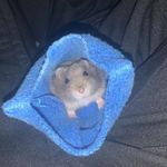 Nellie - @nell.iewhite - Instagram