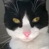 Nellie Williamson - @ettie192646 - TikTok