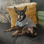 Nelly - @nelly.minpin - Instagram