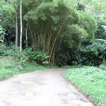 Fabio Nelson Agudelo Agudelo - @fabionelsonagudeloagudelo - Instagram