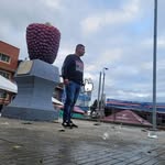 Nelson Enrique Alejo Lopez - @nelsonalejolopez - Instagram