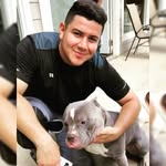Nelson Alfaro - @nelson_alfaro - Instagram