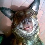 Nelson Andres Vega - @nelsontaveravega - Instagram