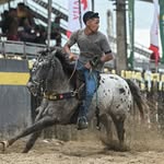 Nelson_Araújo - @nelson_de_araujoo - Instagram