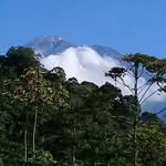 Nelson Arriaga - @nelson.arriaga.5621 - Instagram