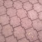 Nelson Baños - @nelsonandresbanos - Instagram