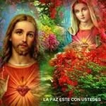 Nelson Barón - @nelson.baron.7545 - Instagram