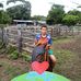 Nelson Baron - Facebook