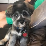 Nelson Bartholomew - @nicetomeetyounelson - Instagram