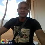 Nelson Basílio - @nelsonbasiliobasilio - Instagram
