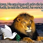 Nelson Batres - @batresnelson - Instagram