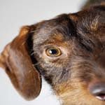 Nelson_Baxter - @nelson_baxterh - Instagram