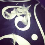 Nelson_Baxter_ - @nelson_baxter_w - Instagram