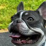 Willie "Nelson" Beam - @its.williebubz - Instagram