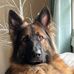 Nelson K. Bean - Facebook