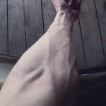 Nelson Beasley - @narmaal_megadivo - Instagram